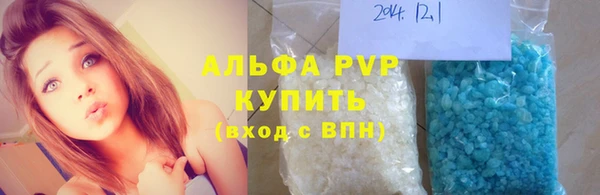 ешки Пересвет