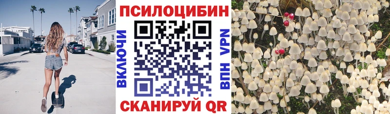 Псилоцибиновые грибы Cubensis  Луга 
